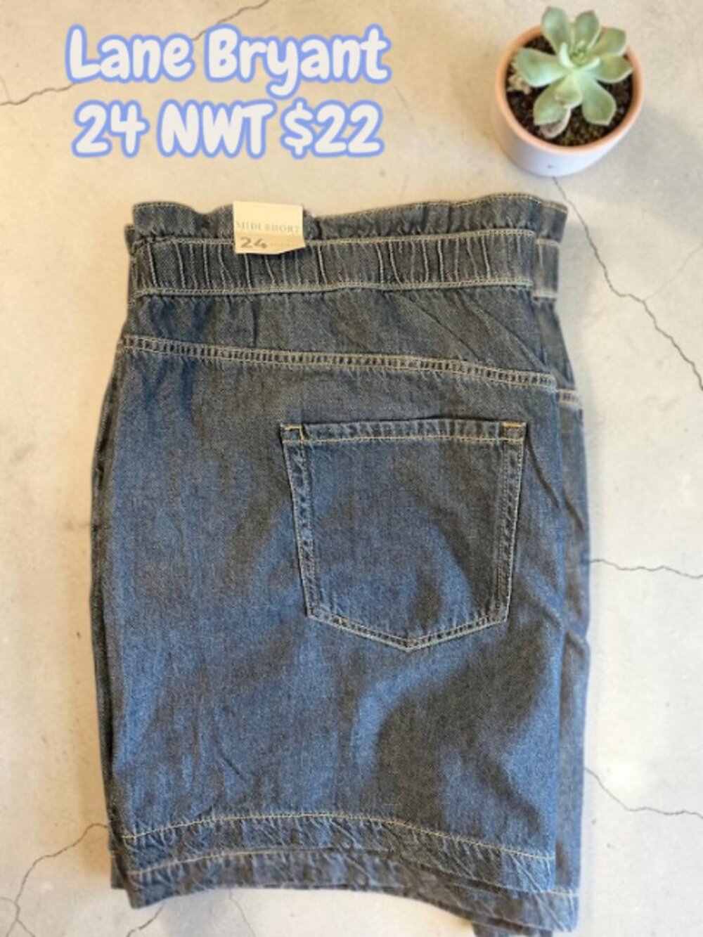 Lane Bryant Pull On Shorts